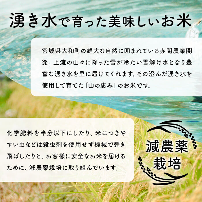 レンジで簡単！玄米・金のいぶき パックご飯 (150g×9個) 小分け パックごはん ご飯 ごはん ライス お米 おこめ 米 コメ 白米 おにぎり お弁当【赤間農業開発株式会社】ta234