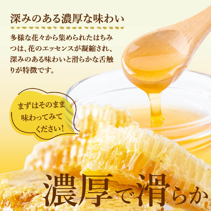 七ツ森の恵 日本ミツバチのはちみつ 600g ハチミツ 蜂蜜 日本蜜蜂 国産 日本ミツバチ 百花蜜【はちみつ屋】ta200