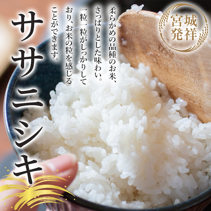 ＜令和6年産 新米＞お米農家直送！ササニシキ 20kg (10kg×2袋) お米 おこめ 米 コメ 白米 ご飯 ごはん おにぎり 宮城米 ささにしき 新米 令和6年産 お弁当【お米農家ろくすみファーム】 ta292