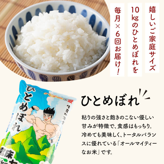 ＜6か月定期便＞ひとめぼれ 60kg お米 おこめ 米 コメ 白米 ご飯 ごはん おにぎり お弁当 宮城産 頒布会【赤間農業開発株式会社】ta301