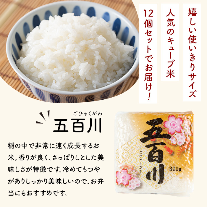 キューブ米 300g×12個（五百川）小分け お米 おこめ 米 コメ 白米 ご飯 ごはん おにぎり お弁当 ギフト【赤間農業開発株式会社】ta306