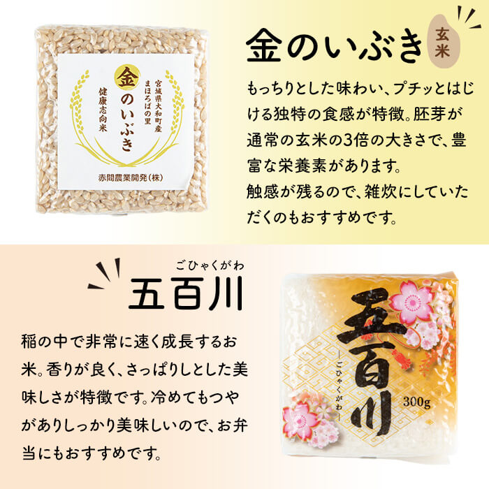 キューブ米 味比べセット 300g×12個 (ひとめぼれ、五百川、つきあかり、金のいぶき各3個) 小分け お米 おこめ 米 コメ 白米 玄米 ご飯 ごはん おにぎり お弁当 食べ比べ 使い切り ギフト【赤間農業開発株式会社】ta310