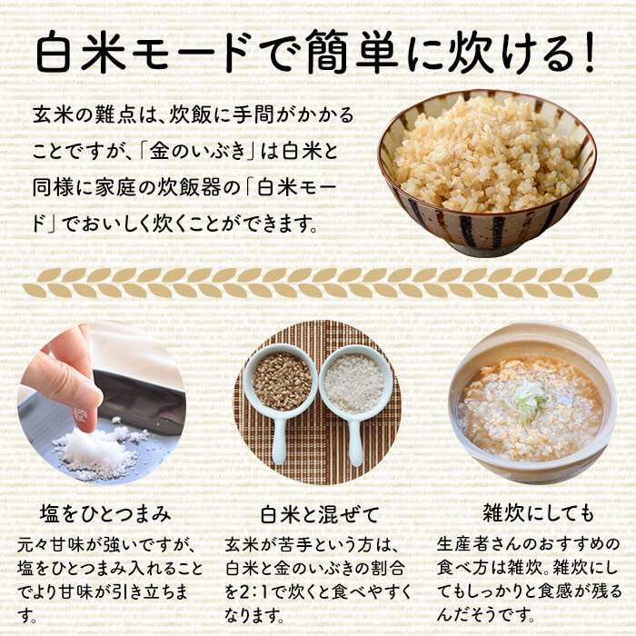 玄米 金のいぶき 自宅用 合計3,750g (750g×5袋) 小分け お米 おこめ 米 コメ 玄米 ご飯 ごはん おにぎり お弁当【赤間農業開発株式会社】ta311