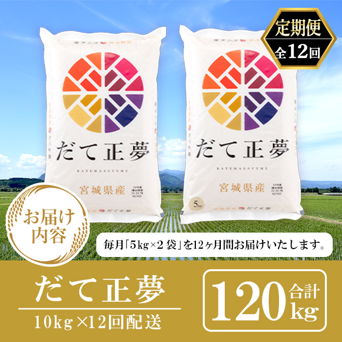 ＜12ヶ月定期便＞宮城県産 だて正夢 合計120kg (10kg×12回) お米 おこめ 米 コメ 白米 ご飯 ごはん 伊達 だてまさゆめ おにぎり お弁当 ブランド米 頒布会【株式会社パールライス宮城】ta338
