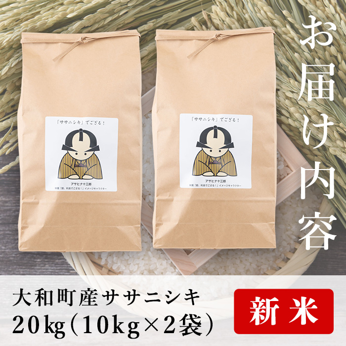 ＜令和6年産 新米＞お米農家直送！ササニシキ 20kg (10kg×2袋) お米 おこめ 米 コメ 白米 ご飯 ごはん おにぎり 宮城米 ささにしき 新米 令和6年産 お弁当【お米農家ろくすみファーム】 ta292