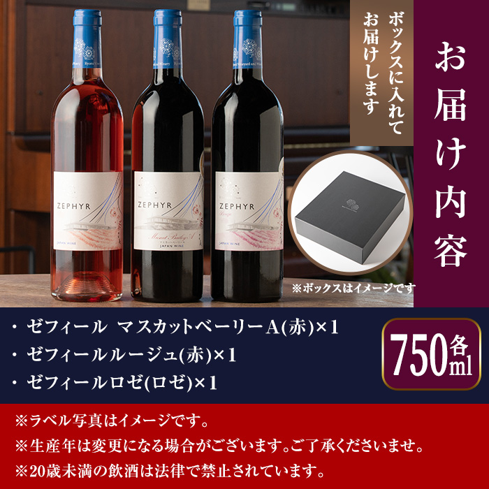 了美ワイン 750ml×3本セット 赤ワイン ロゼ  飲み比べ マスカットベーリーA アルコール ギフト ワインセット みらいファームやまと【了美ワイナリー】ta316
