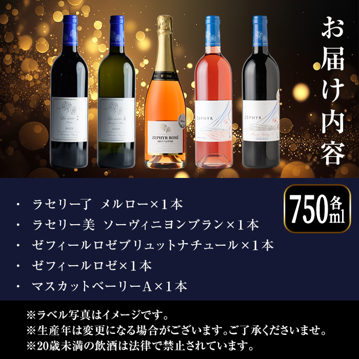 ＜受賞ワイン＞了美ワイン5本セット 750ml×5本 赤ワイン 白ワイン ロゼ スパークリング 発泡性 飲み比べ マスカットベーリーA アルコール ギフト ワインセット サクラアワード みらいファームやまと【了美ワイナリー】ta494