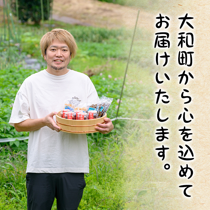 昔ながらのしょっぱい梅干し 160g×2個 うめぼし 梅 塩 赤しそ 漬物 漬け物 おかず お弁当 ご飯のお供 【三浦屋】ta526