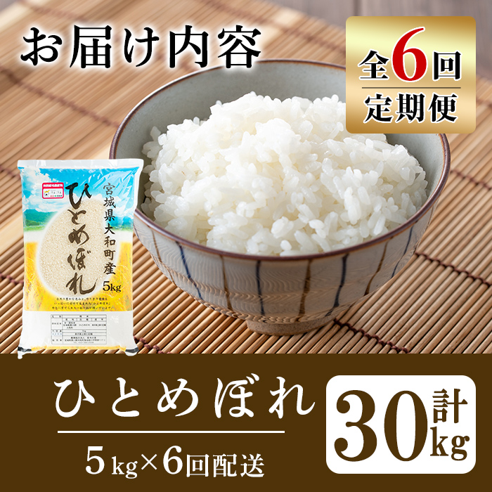 【令和7年産】＜6か月定期便＞特別栽培米 ひとめぼれ 5kg×6回(合計30kg) お米 おこめ 米 コメ 白米 ご飯 ごはん おにぎり お弁当 頒布会【農事組合法人若木の里】ta541