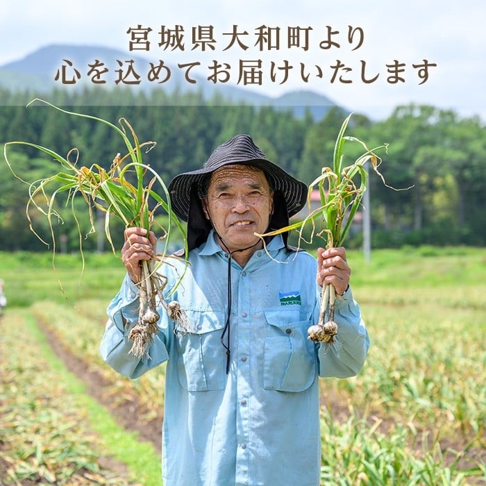 特選バラにんにく 300g にんにく ニンニク ガーリック 六片種 ばら ホワイト おつまみ 健康 食品 料理 産地直送 宮城県 大和町 【株式会社ファーム沢渡】ta593