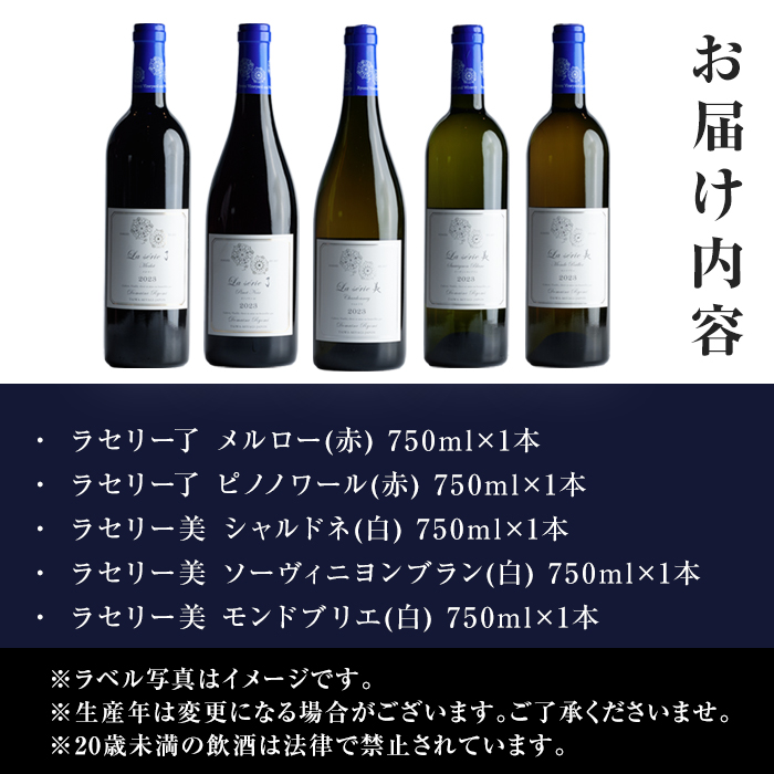 自社葡萄を使用したワインセット 750ml×5本 赤ワイン 白ワイン メルロー ピノノワール シャルドネ ソーヴィニヨンブラン モンドブリエ ミディアムボディ 辛口 ぶどう ブドウ アルコール みらいファームやまと 【了美ワイナリー】ta594