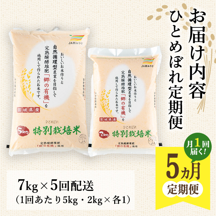 ＜5ヶ月定期便＞特別栽培米 ひとめぼれ 7kg×5回 (全35kg) お米 おこめ 米 コメ 白米 ご飯 ごはん おにぎり お弁当 有機質肥料 頒布会【JA新みやぎ】ta223