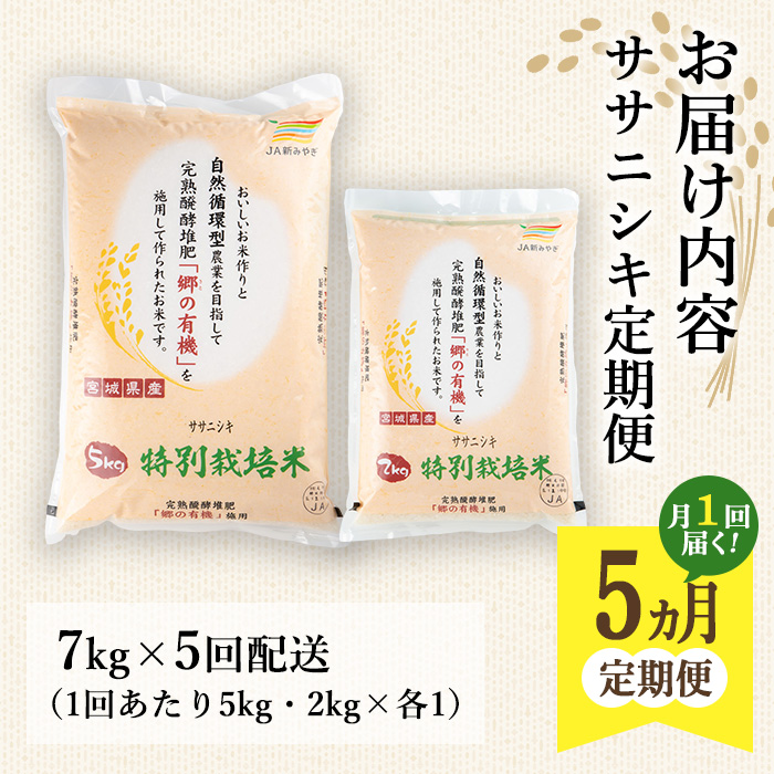 ＜5ヶ月定期便＞特別栽培米 ササニシキ 7kg×5回 (全35kg) お米 おこめ 米 コメ 白米 ご飯 ごはん おにぎり お弁当 有機質肥料 頒布会【JA新みやぎ】ta224