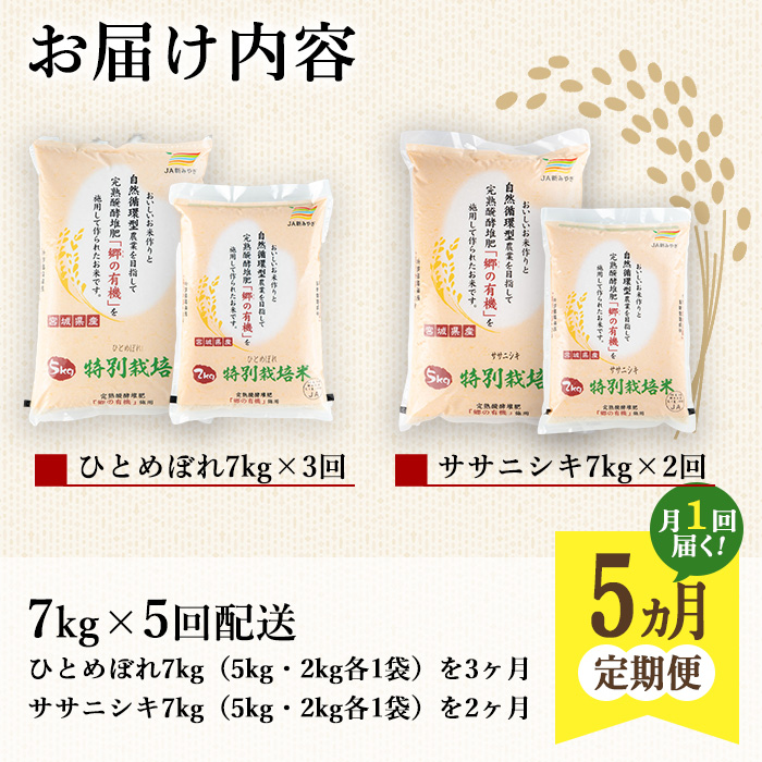 ＜5ヶ月定期便＞特別栽培米 ひとめぼれ・ササニシキ 7kg×5回 (全35kg) お米 おこめ 米 コメ 白米 ご飯 ごはん おにぎり お弁当 有機質肥料 頒布会【JA新みやぎ】ta225