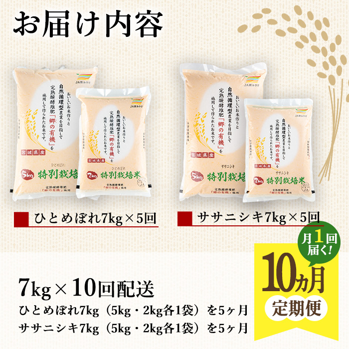 ＜10ヶ月定期便＞特別栽培米 ひとめぼれ・ササニシキ 7kg×10回 (全70kg) お米 おこめ 米 コメ 白米 ご飯 ごはん おにぎり お弁当 有機質肥料 頒布会【JA新みやぎ】ta228