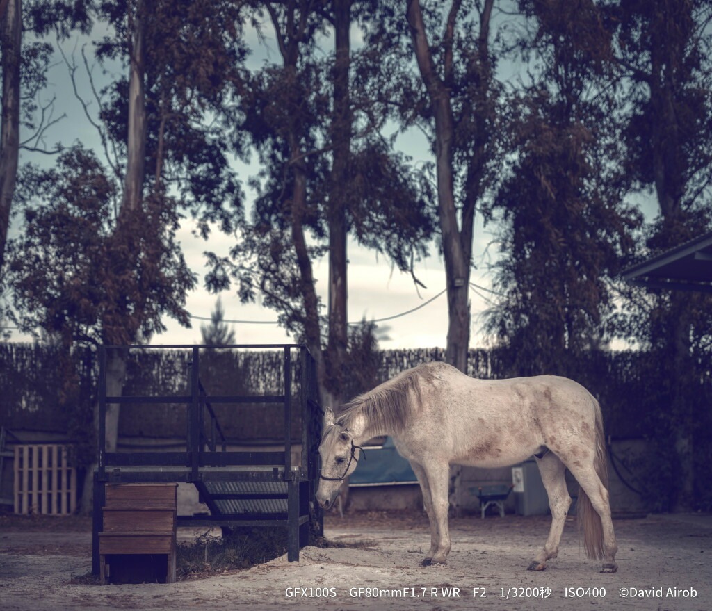 ※おひとり様1点限り※ 富士フイルム レンズ GF80mmF1.7 R WR カメラ 単焦点 レンズ 大口径 中判 防滴 防塵 ミラーレス Gマウント FUJIFILM フジノンレンズ【富士フイルムイメージングシステムズ株式会社】ta344