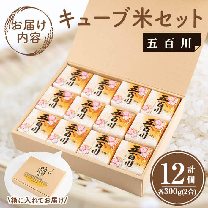 キューブ米 300g×12個（五百川）小分け お米 おこめ 米 コメ 白米 ご飯 ごはん おにぎり お弁当 ギフト【赤間農業開発株式会社】ta306