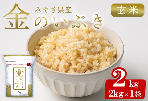 宮城県産 金のいぶき 2kg 玄米 お米 おこめ 米 コメ ご飯 ごはん おにぎり お弁当 ブランド米 宮城米【株式会社パールライス宮城】ta391