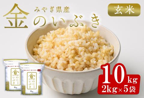 宮城県産 金のいぶき 10kg 玄米 お米 おこめ 米 コメ ご飯 ごはん おにぎり お弁当 ブランド米 宮城米【株式会社パールライス宮城】ta393