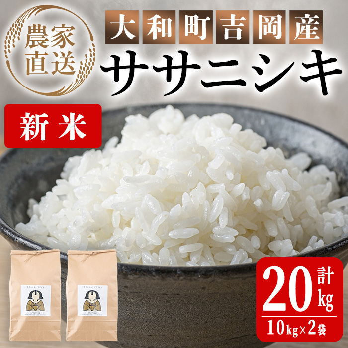 ＜令和6年産 新米＞お米農家直送！ササニシキ 20kg (10kg×2袋) お米 おこめ 米 コメ 白米 ご飯 ごはん おにぎり 宮城米 ささにしき 新米 令和6年産 お弁当【お米農家ろくすみファーム】 ta292
