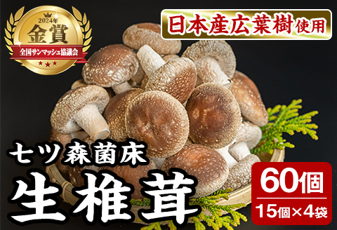 七ツ森菌床椎茸 15個×4袋 肉厚 生椎茸 しいたけ シイタケ きのこ 炊き込みご飯 和食  小分け ステーキ 肉詰め 国産 宮城県産 【農事組合法人七ツ森菌床椎茸生産組合】ta386