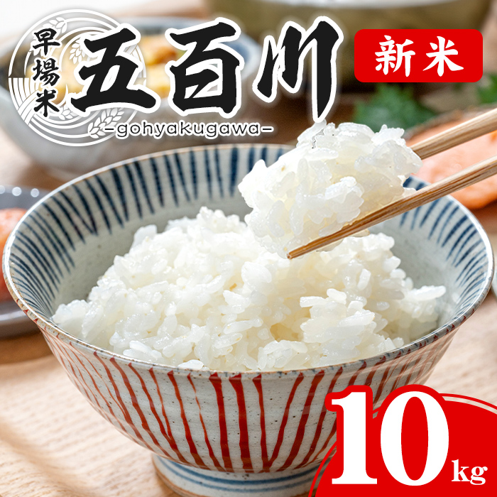 ＜令和7年産 新米＞五百川 10kg お米 おこめ 米 コメ 白米 早場米 極早生品種 ご飯 ごはん おにぎり お弁当【赤間農業開発株式会社】ta459