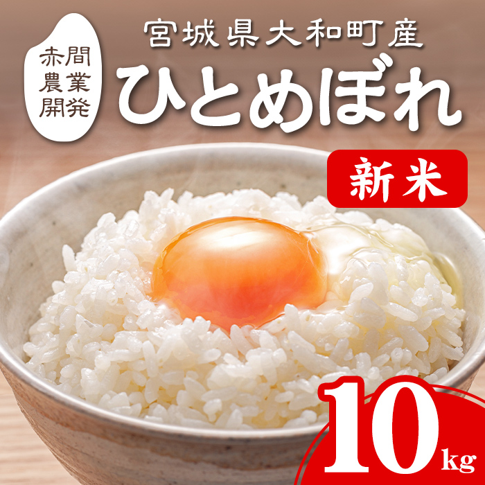＜令和7年産 新米＞ ひとめぼれ 10kg お米 おこめ 米 コメ 白米 ご飯 ごはん おにぎり お弁当【赤間農業開発株式会社】ta461