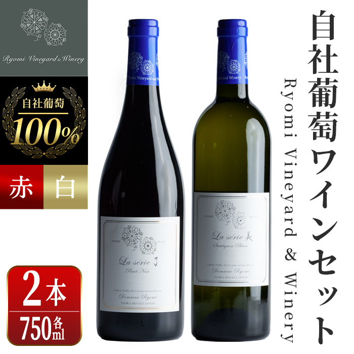 自社葡萄を使用したワインセット 750ml×2本 ピノノワール ソーヴィニヨンブラン 赤ワイン 白ワイン ミディアムボディ 辛口 ぶどう ブドウ アルコール ギフト 宮城県産 みらいファームやまと 【了美ワイナリー】ta497