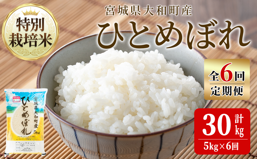 【令和7年産】＜6か月定期便＞特別栽培米 ひとめぼれ 5kg×6回(合計30kg) お米 おこめ 米 コメ 白米 ご飯 ごはん おにぎり お弁当 頒布会【農事組合法人若木の里】ta541