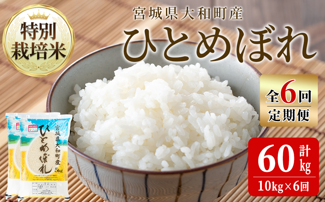 【令和7年産】＜6か月定期便＞特別栽培米 ひとめぼれ 10kg×6回(合計60kg) お米 おこめ 米 コメ 白米 ご飯 ごはん おにぎり お弁当 頒布会【農事組合法人若木の里】ta542