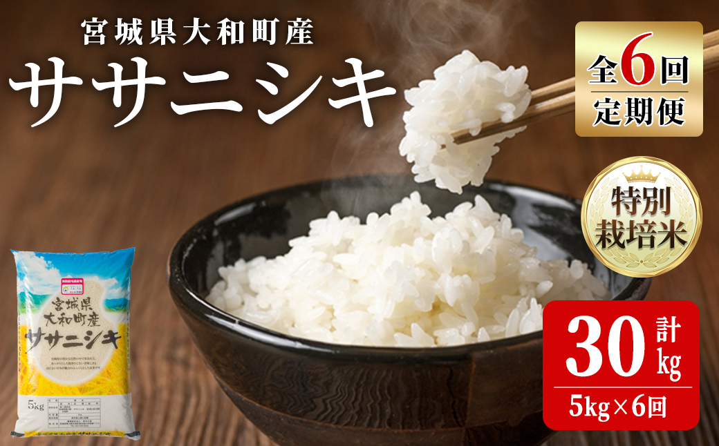 【令和7年産】＜6か月定期便＞特別栽培米 ササニシキ 5kg×6回(合計30kg) お米 おこめ 米 コメ 白米 ご飯 ごはん おにぎり お弁当 頒布会【農事組合法人若木の里】ta545
