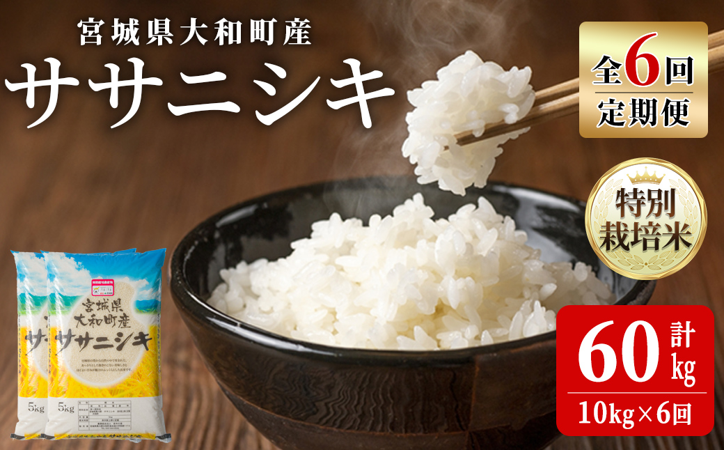 【令和7年産】＜6か月定期便＞特別栽培米 ササニシキ 10kg×6回(合計60kg) お米 おこめ 米 コメ 白米 ご飯 ごはん おにぎり お弁当 頒布会【農事組合法人若木の里】ta546