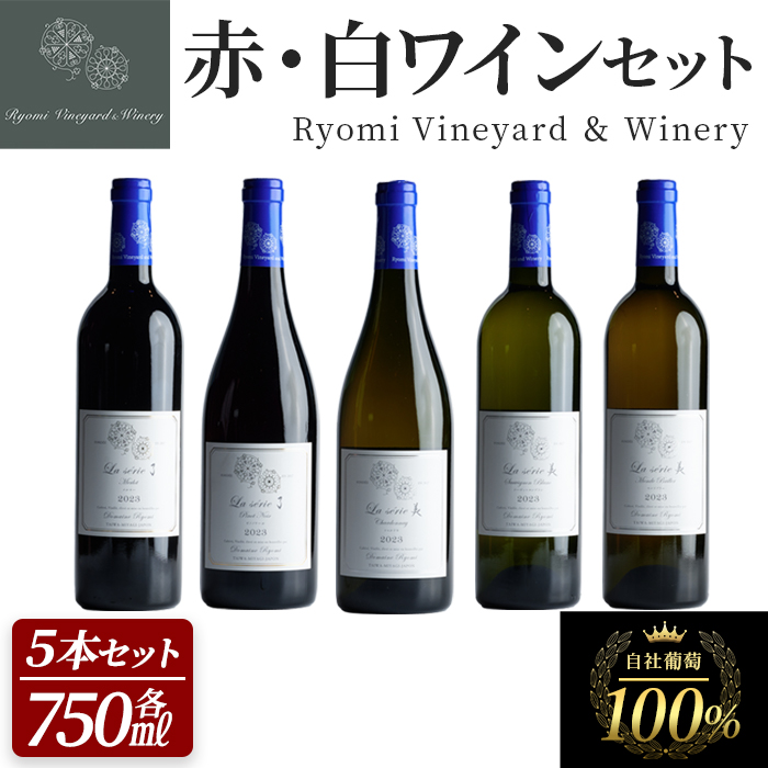 自社葡萄を使用したワインセット 750ml×5本 赤ワイン 白ワイン メルロー ピノノワール シャルドネ ソーヴィニヨンブラン モンドブリエ ミディアムボディ 辛口 ぶどう ブドウ アルコール みらいファームやまと 【了美ワイナリー】ta594
