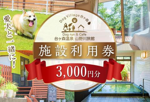 台ケ森温泉 山野川旅館 DogVillage台ケ森 施設利用券 3,000円分 ドッグラン 宿泊 日帰り温泉 温泉旅館 ペット 大型犬 中型犬 小型犬 カフェ【山野川旅館】ta196