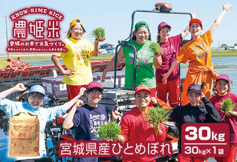 令和4年産農姫米(ひとめぼれ) 30kg×1袋 お米 おこめ 米 コメ 白米 ご飯 ごはん おにぎり お弁当 のうひめまい【株式会社五十嵐商会】ta207