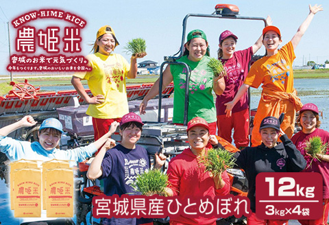 令和4年産農姫米(ひとめぼれ) 3kg×4袋／12kg お米 おこめ 米 コメ 白米 ご飯 ごはん おにぎり お弁当【株式会社五十嵐商会】ta210