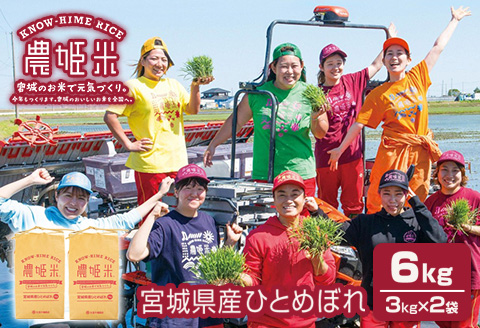 令和4年産農姫米(ひとめぼれ) 3kg×2袋／6kg お米 おこめ 米 コメ 白米 ご飯 ごはん おにぎり お弁当【株式会社五十嵐商会】ta212