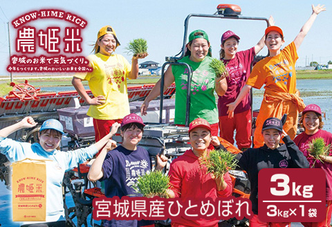 令和4年産農姫米(ひとめぼれ) 3kg×1袋 お米 おこめ 米 コメ 白米 ご飯 ごはん おにぎり お弁当【株式会社五十嵐商会】ta213