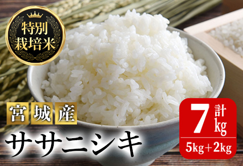 ＜令和5年産＞特別栽培米 ササニシキ 7kg ささにしき お米 おこめ 米 コメ 白米 ご飯 ごはん おにぎり お弁当 有機質肥料【JA新みやぎ】ta218