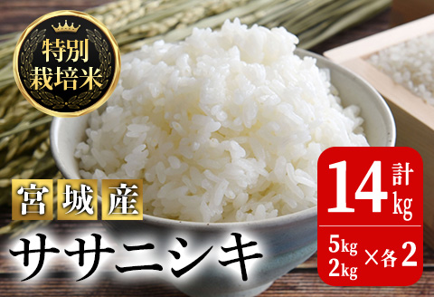 ＜令和5年産＞特別栽培米 ササニシキ 合計14kg お米 おこめ 米 コメ 白米 ご飯 ごはん おにぎり お弁当 有機質肥料【JA新みやぎ】ta222