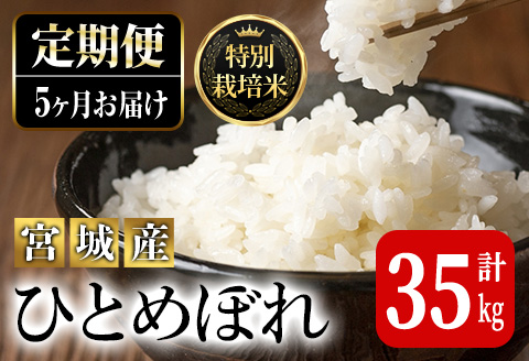 ＜5ヶ月定期便＞特別栽培米 ひとめぼれ 7kg×5回 (全35kg) お米 おこめ 米 コメ 白米 ご飯 ごはん おにぎり お弁当 有機質肥料 頒布会【JA新みやぎ】ta223