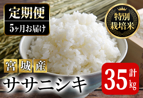 ＜5ヶ月定期便＞特別栽培米 ササニシキ 7kg×5回 (全35kg) お米 おこめ 米 コメ 白米 ご飯 ごはん おにぎり お弁当 有機質肥料 頒布会【JA新みやぎ】ta224