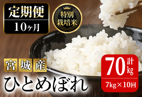 ＜10か月定期便＞特別栽培米 ひとめぼれ 7kg×10回 (全70kg) お米 おこめ 米 コメ 白米 ご飯 ごはん おにぎり お弁当 有機質肥料 頒布会【JA新みやぎ】ta226