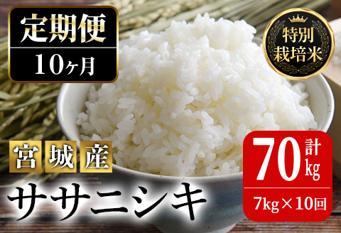 ＜10か月定期便＞特別栽培米 ササニシキ 7kg×10回 (全70kg) お米 おこめ 米 コメ 白米 ご飯 ごはん おにぎり お弁当 有機質肥料 頒布会【JA新みやぎ】ta227