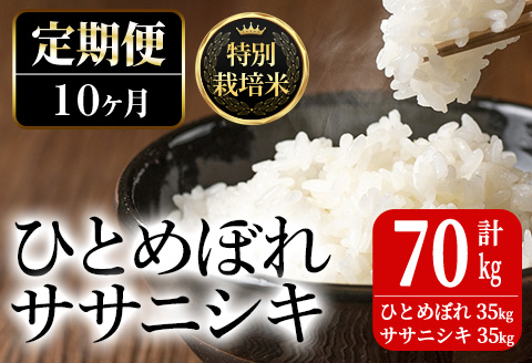 ＜10ヶ月定期便＞特別栽培米 ひとめぼれ・ササニシキ 7kg×10回 (全70kg) お米 おこめ 米 コメ 白米 ご飯 ごはん おにぎり お弁当 有機質肥料 頒布会【JA新みやぎ】ta228