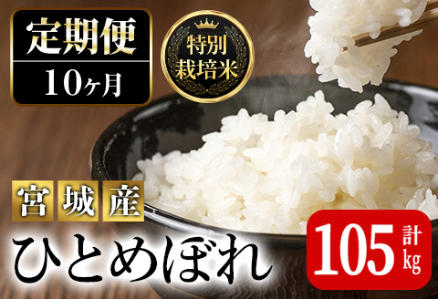 ＜10か月定期便＞特別栽培米 ひとめぼれ 100kg+5kg お米 おこめ 米 コメ 白米 ご飯 ごはん おにぎり お弁当 有機質肥料 頒布会【JA新みやぎ】ta229