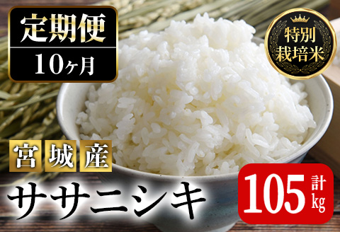 ＜10か月定期便＞特別栽培米 ササニシキ 100kg+5kg お米 おこめ 米 コメ 白米 ご飯 ごはん おにぎり お弁当 有機質肥料 頒布会【JA新みやぎ】ta230