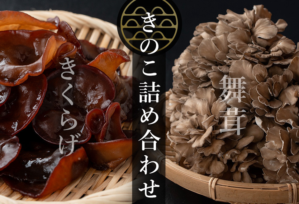 七つ森ふもと舞茸  詰め合わせギフトセット Mサイズ まいたけ マイタケ きくらげ きのこセット 農家直送 天ぷら すき焼き 炊き込みご飯 宮城県産 ギフト 詰め合わせ【株式会社七つ森ふもと舞茸】ta326