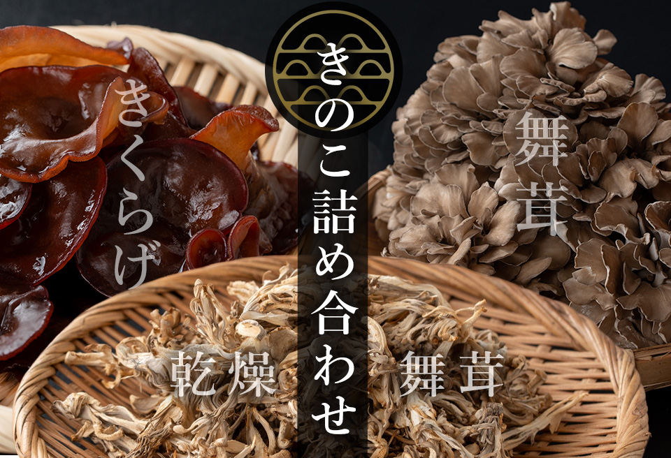 七つ森ふもと舞茸  詰め合わせギフトセット Lサイズ まいたけ マイタケ きくらげ 乾燥舞茸 きのこセット 農家直送 天ぷら すき焼き 炊き込みご飯 宮城県産 ギフト 詰め合わせ【株式会社七つ森ふもと舞茸】ta327