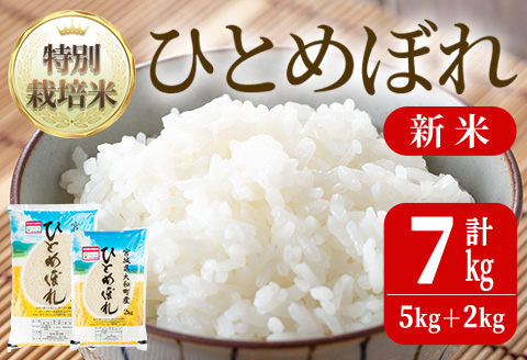 [令和5年産 新米]特別栽培米 ひとめぼれ 7kg ta237[若木の里]